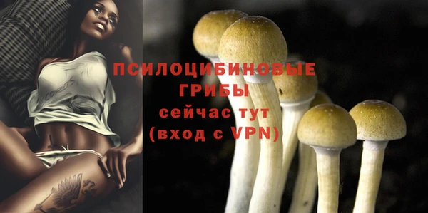 Альфа ПВП Пролетарск