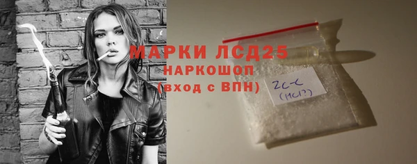индика Приозерск