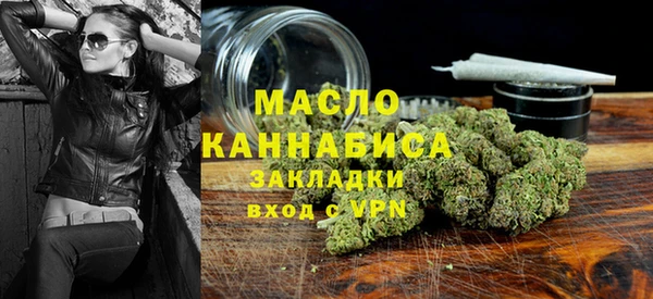 индика Приозерск