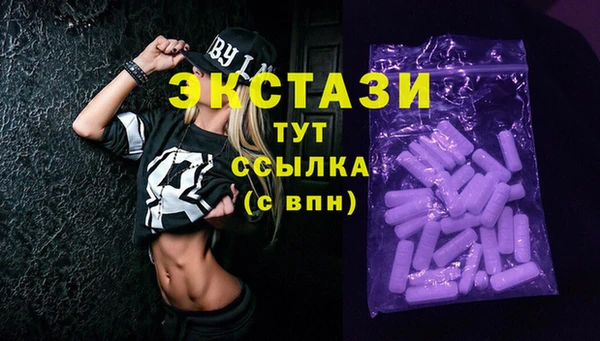 индика Приозерск