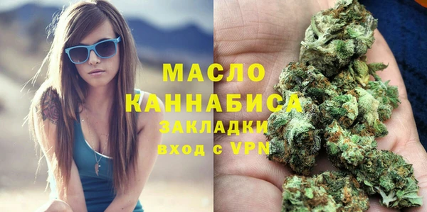 индика Приозерск