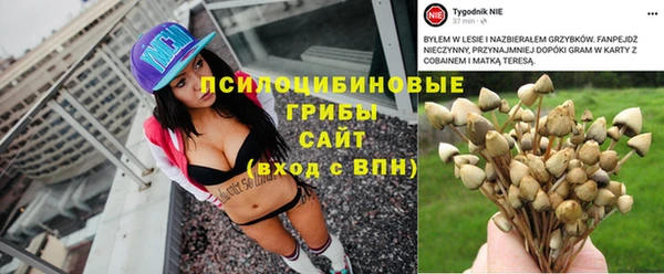 Альфа ПВП Пролетарск