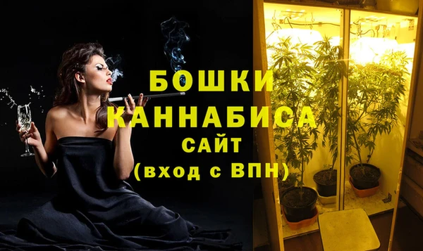 индика Приозерск