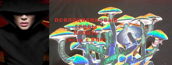 Альфа ПВП Пролетарск
