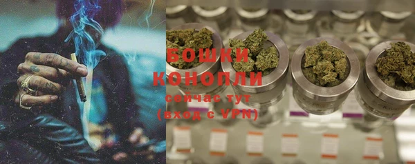 индика Приозерск