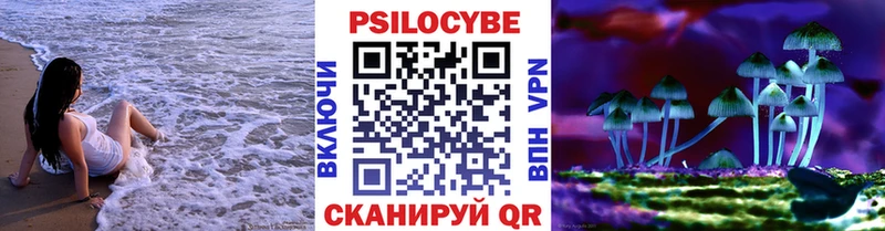 Купить где  Советская Гавань  Псилоцибиновые грибы Cubensis 